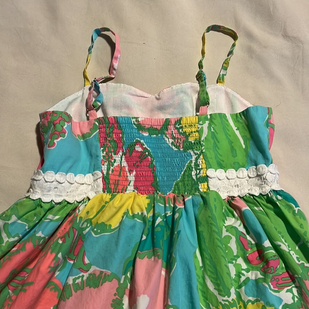 Colorful Lilly - Picture 5 of 6
